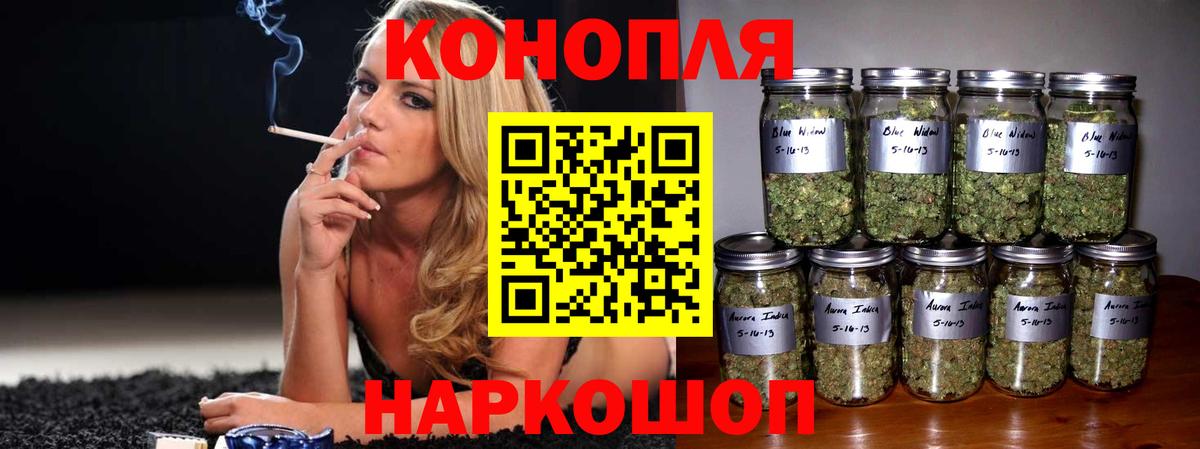 Конопля марихуана Новокубанск